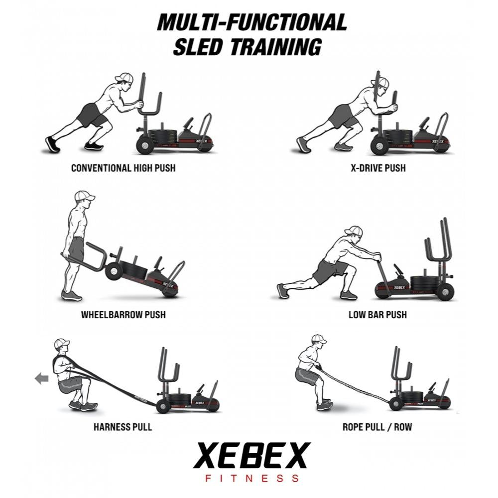 Xebex XT3 Plus Seld Smart Connect - Gymsportz