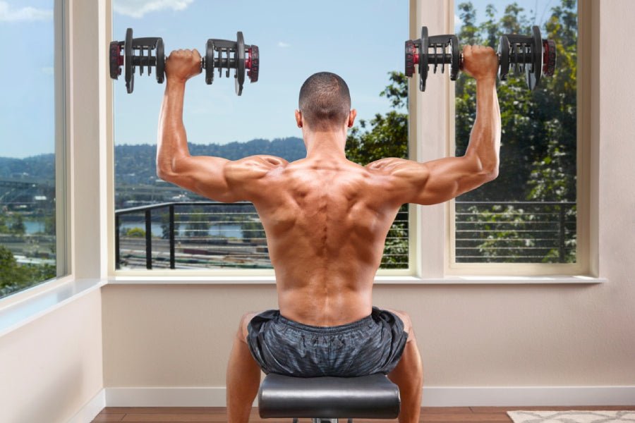 The Ultimate Dumbbell Shoulder Workout for Beginners - Gymsportz