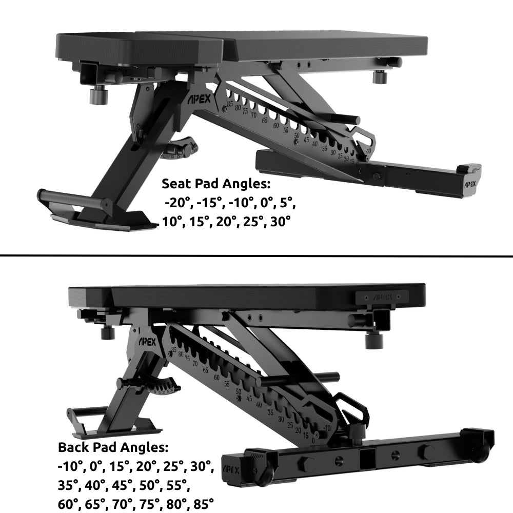 APEX Adjustable Bench