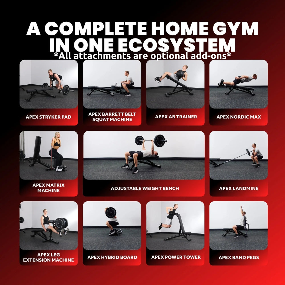 APEX Adjustable Bench