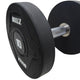 Bullz Urethane Round Dumbbell Set A (1KG to 10KG) - Gymsportz