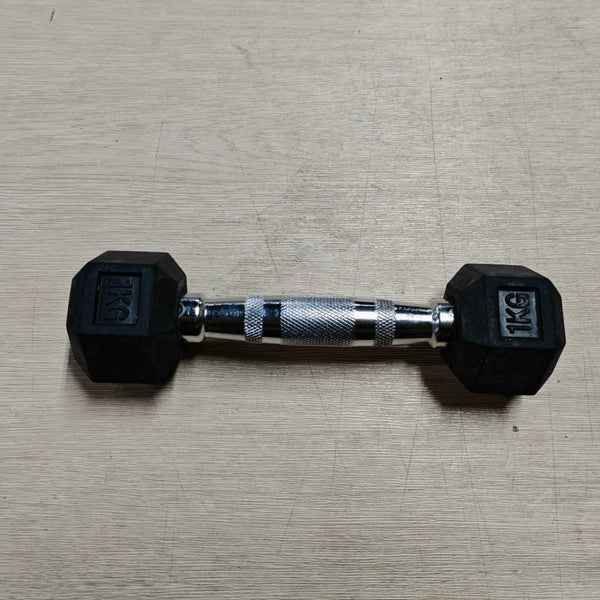 (Old Model) 1kg Rubber Hexagonal Dumbbell (Single) - Gymsportz