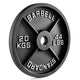 Pivot P2500 Cast Iron Olympic Plates (2 inch) - Gymsportz