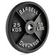 Pivot P2500 Cast Iron Olympic Plates (2 inch) - Gymsportz