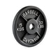 Pivot P2500 Cast Iron Olympic Plates (2 inch) - Gymsportz