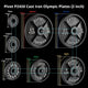 Pivot P2500 Cast Iron Olympic Plates (2 inch) - Gymsportz