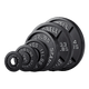 Pivot P2500 Cast Iron Olympic Plates (2 inch) - Gymsportz