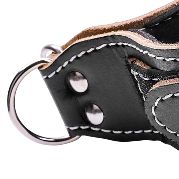Pivot PM312 Leather Ankle Strap (In Pairs) - Gymsportz