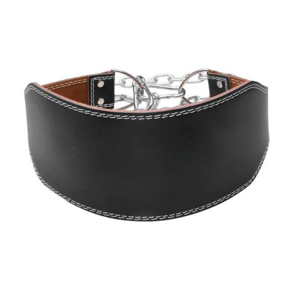 Pivot PM315 Leather Dip Belt - Gymsportz