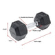 Pivot TPU Hex Dumbbells (In Pairs) - Gymsportz