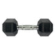 Pivot TPU Hex Dumbbells Set A (1KG to 10KG) - Gymsportz