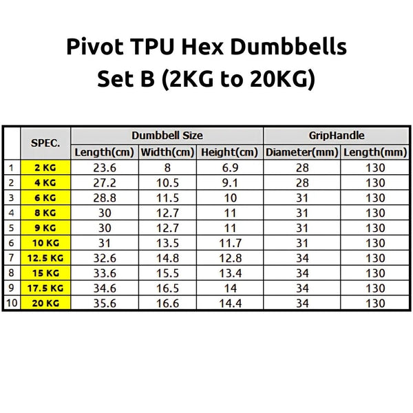 Pivot TPU Hex Dumbbells Set B (2KG to 20KG) - Gymsportz