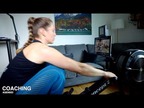 Concept2 RowErg Indoor Rowing Machine