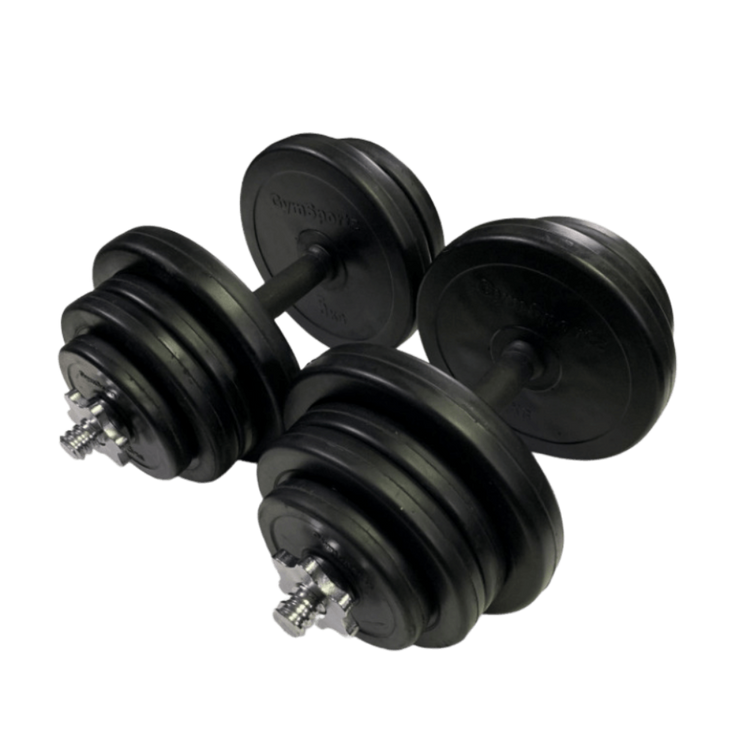 Rubber Hex Dumbbells in Singapore - Shop Top Fitness Brands