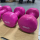 (Old Model) Vinyl Dumbbells (In Pairs) - Gymsportz