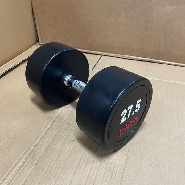 (Peeled) 27.5kg Round Dumbbell - Gymsportz