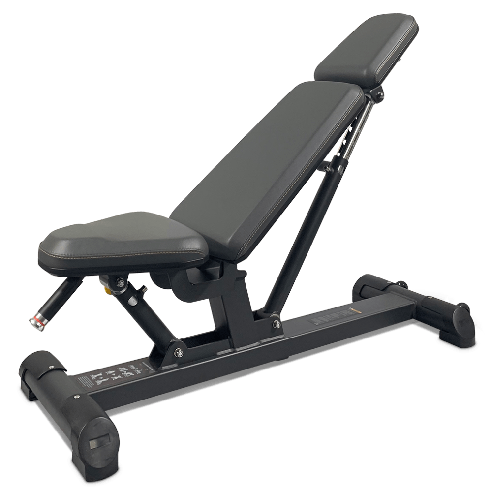 Buy PTT0204 Commercial Gym Bench In Singapore Gym Benches Gymsportz